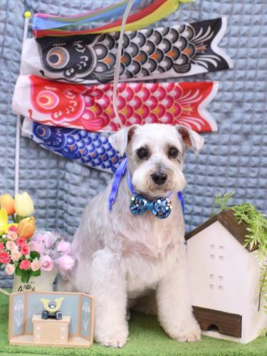 20230520ボルトくん